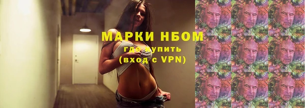 твердый Арсеньев