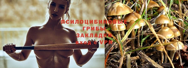 твердый Арсеньев