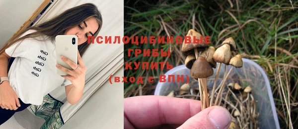 мескалин Аркадак