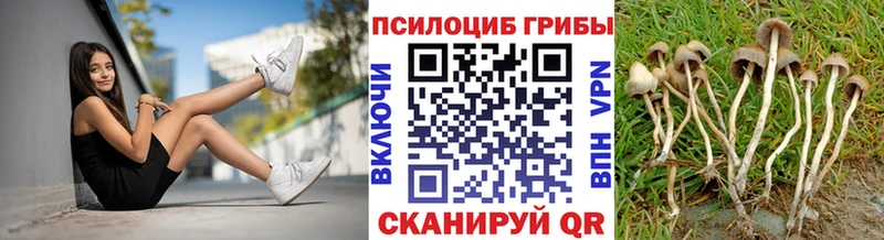 Галлюциногенные грибы Psilocybine cubensis  Озёрск 